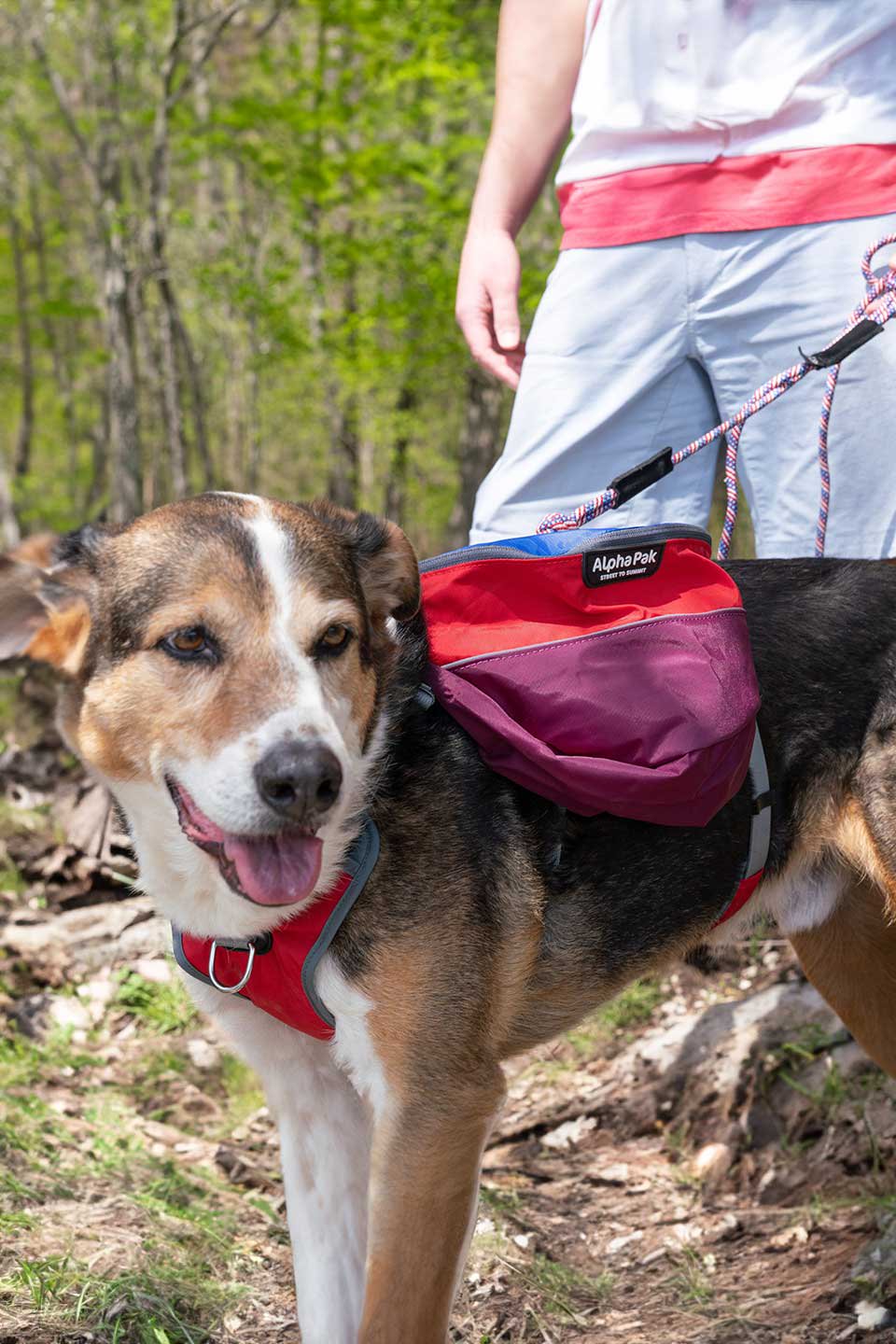 Sunset Dog Backpack / Alpha Pak