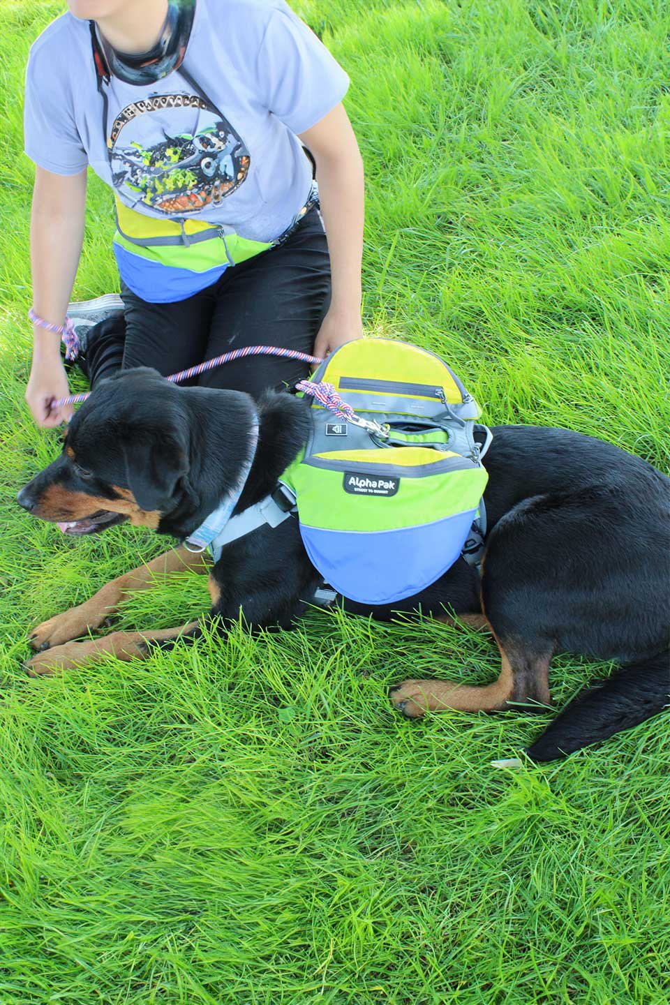 Rainforest Dog Backpack / Alpha Pak
