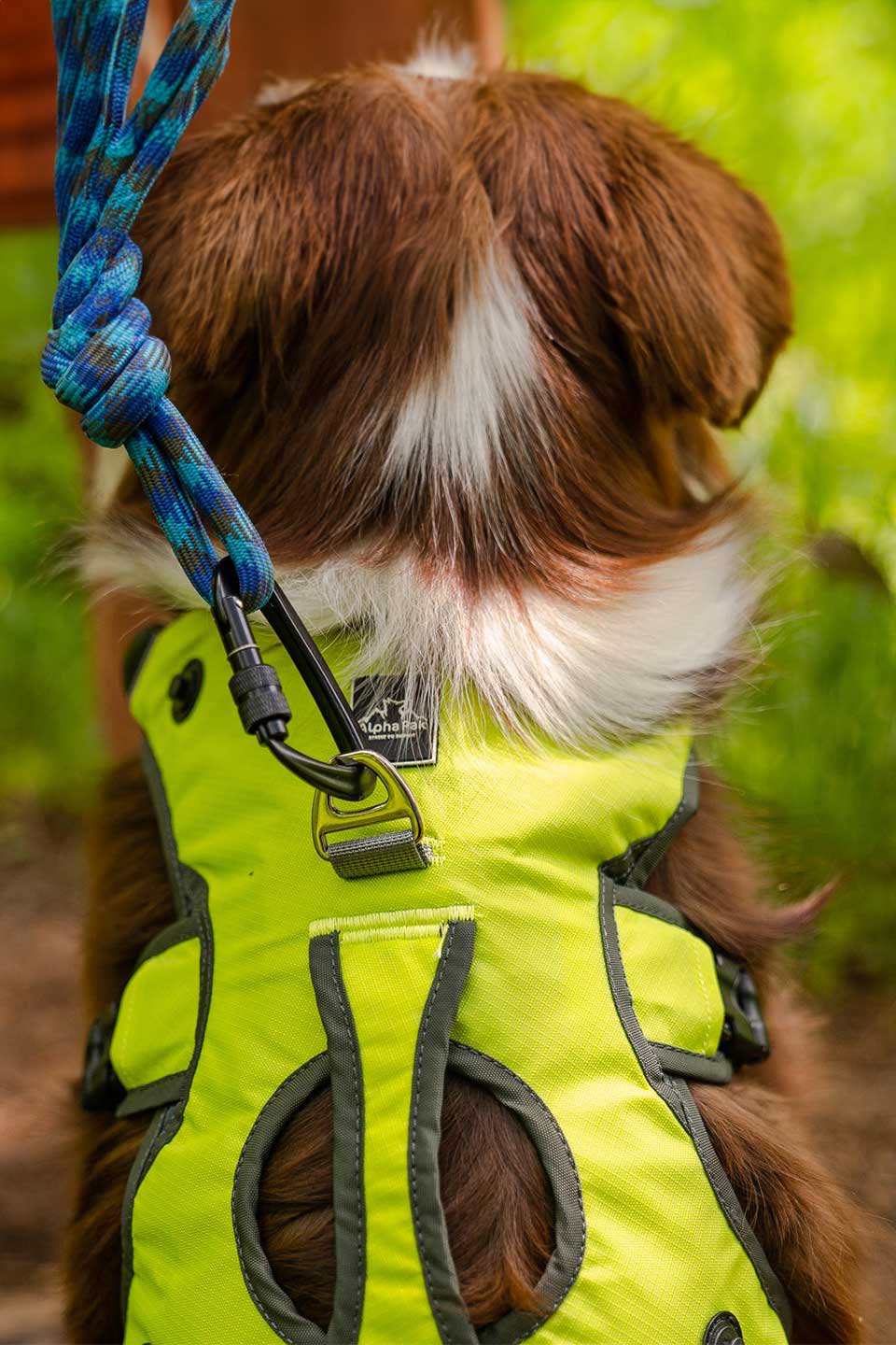 Wanderer Dog Backpack / Alpha Pak