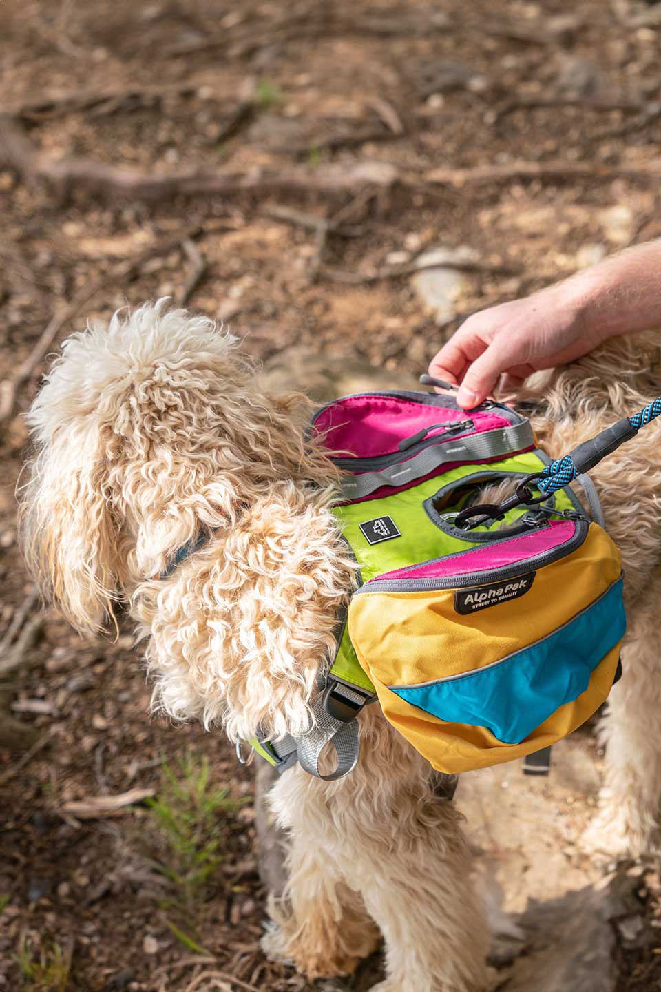 Wanderer Retro Dog Backpack / Alpha Pak