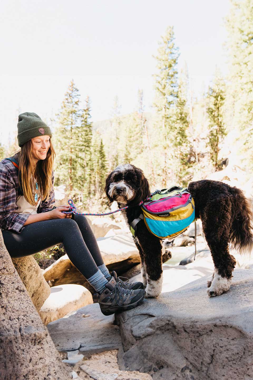 Wanderer Retro Dog Backpack / Alpha Pak