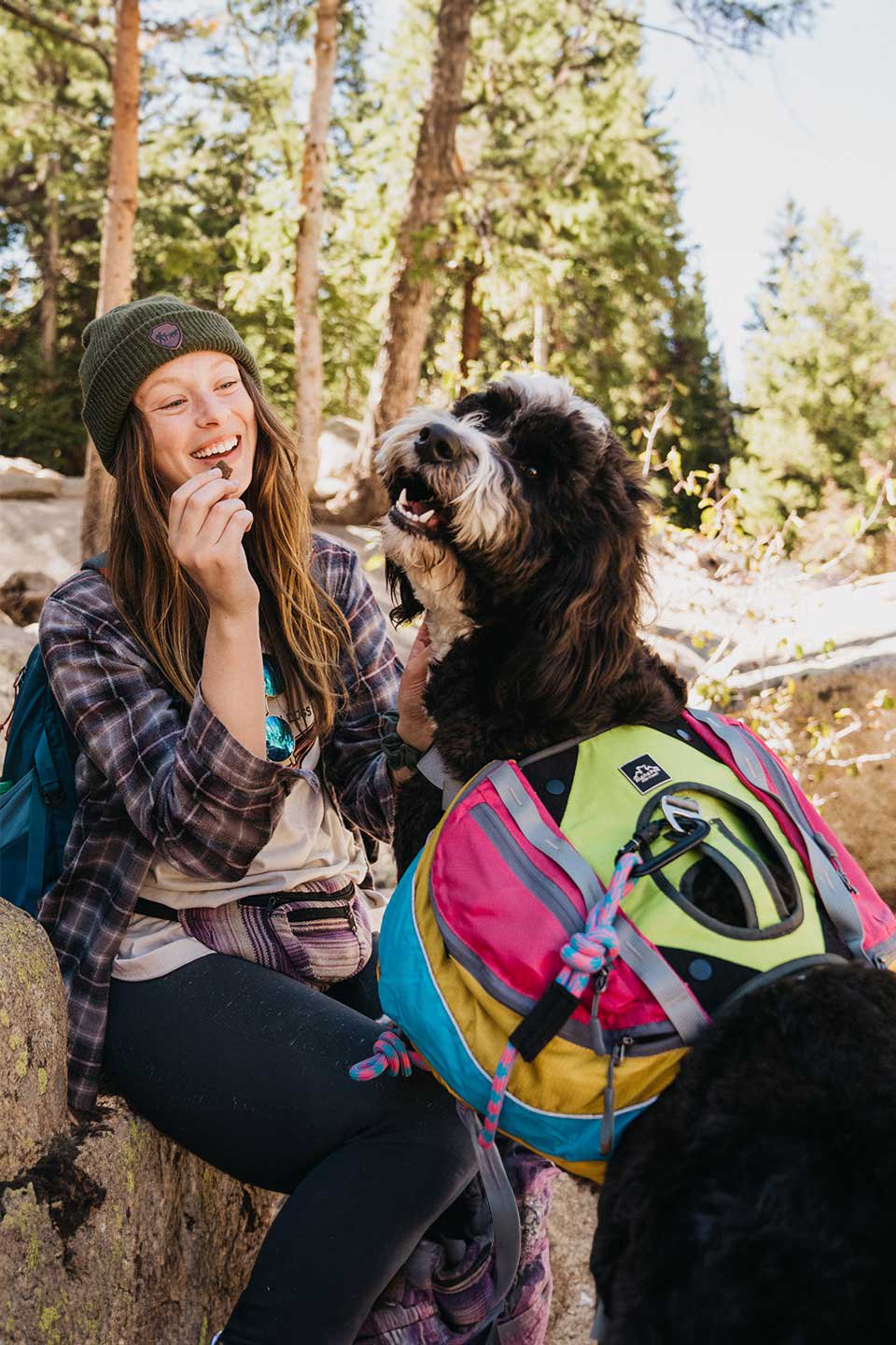 Wanderer Retro Dog Backpack / Alpha Pak