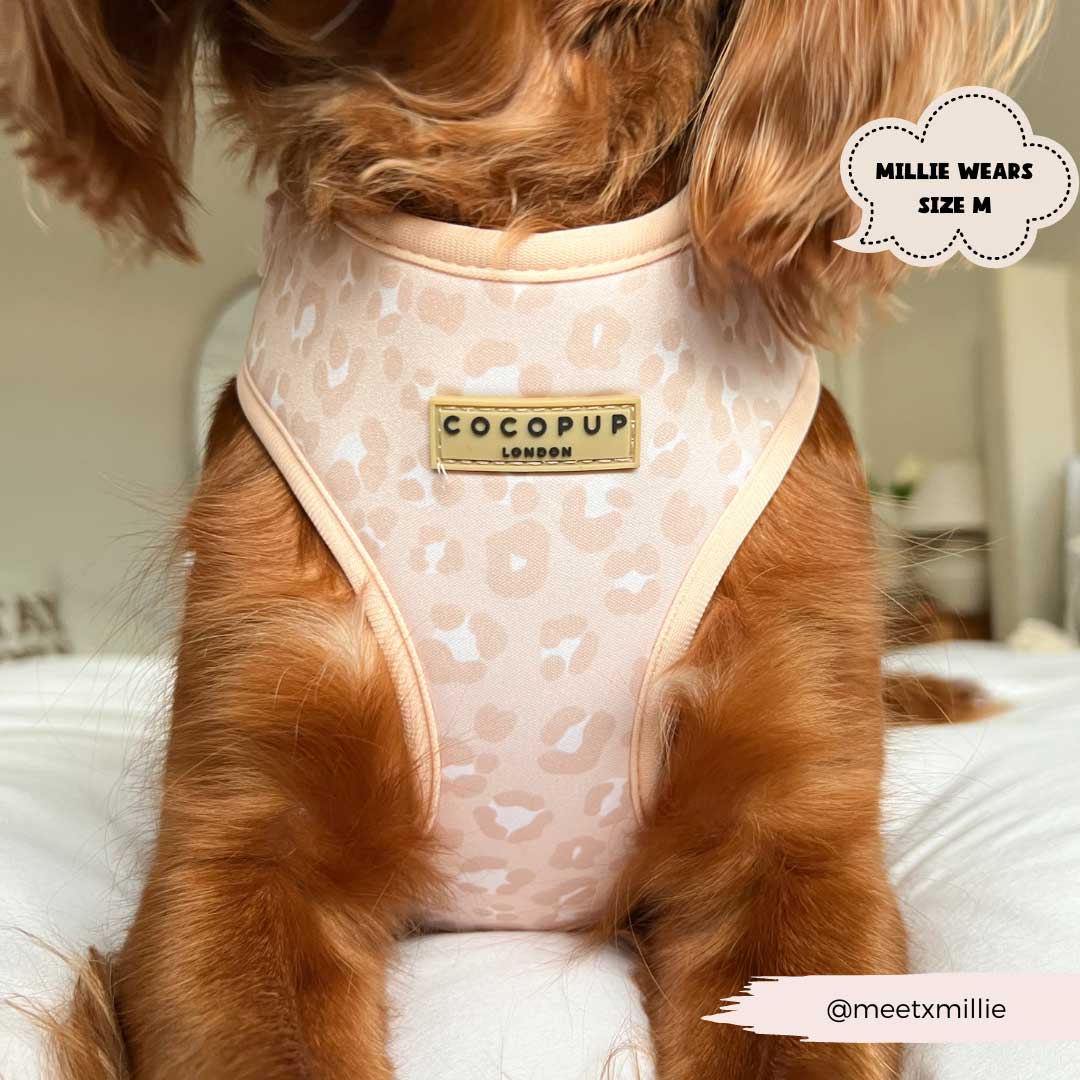 Nude Chic Leopard Harness / COCOPUP