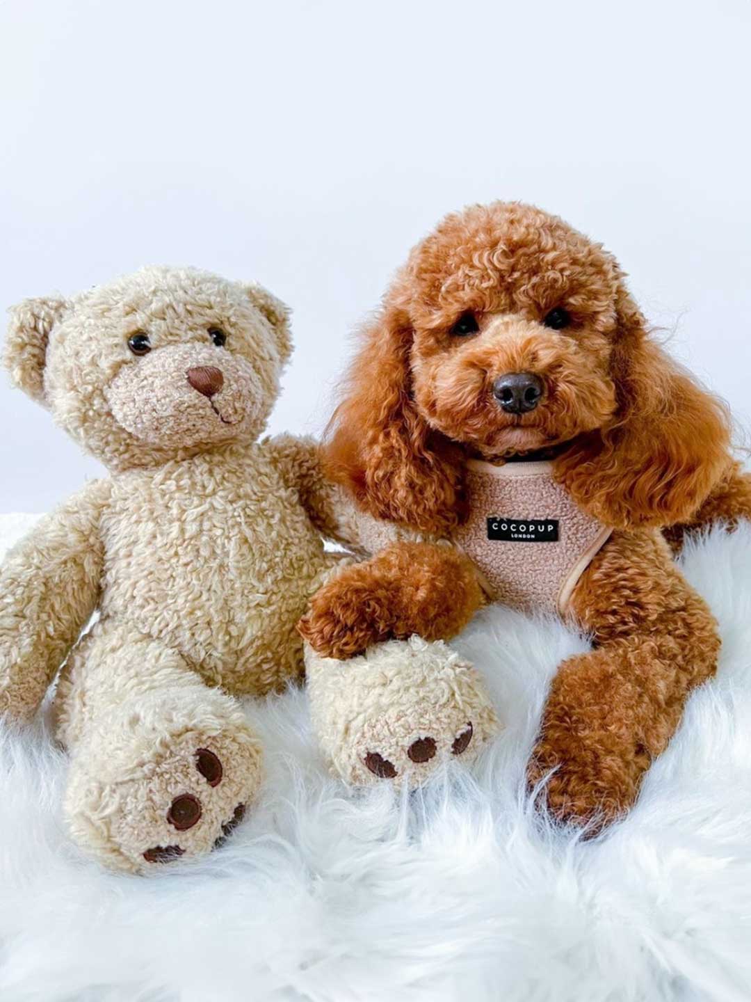 Teddy Beige Soft Harness / COCOPUP