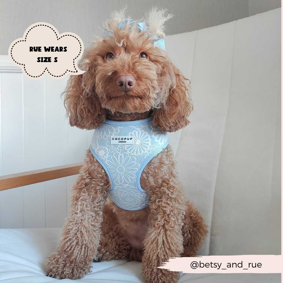 Baby Blue Flower Luxe Harness / COCOPUP