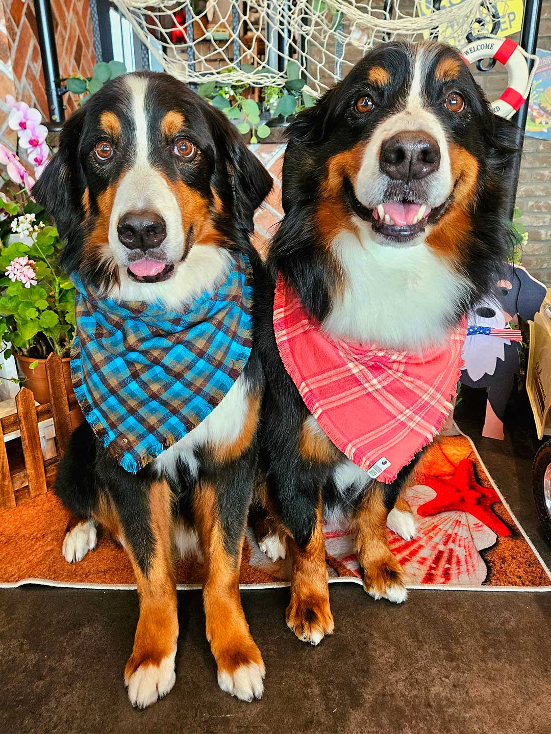 Evergreen Fringe Dog Bandana / DOGDOG GOOSE