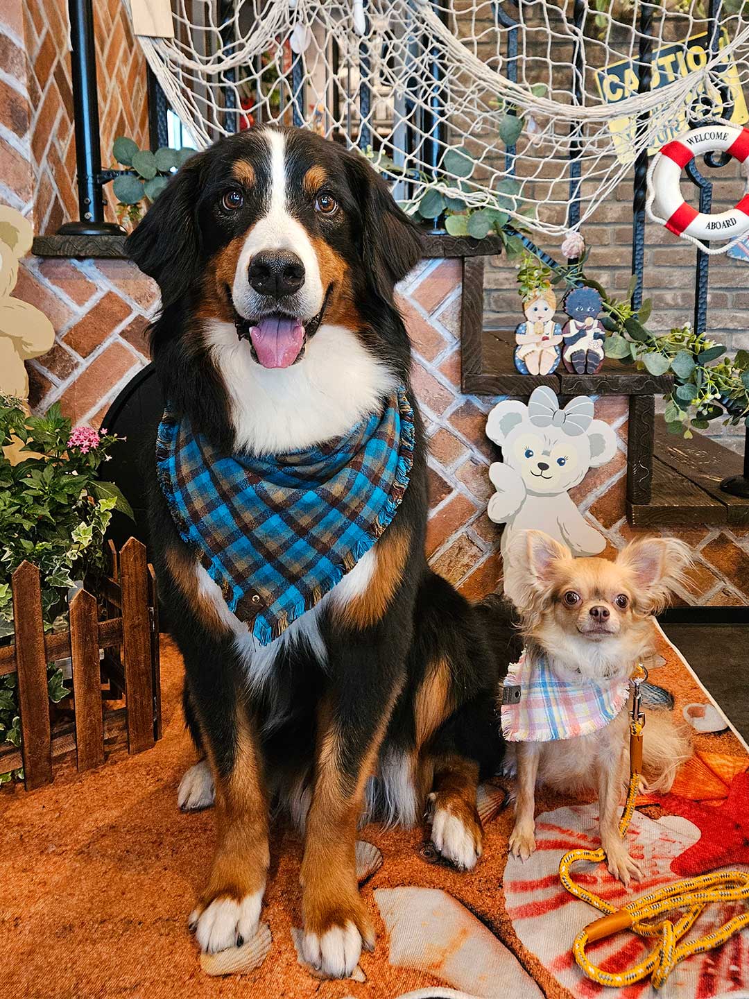 Evergreen Fringe Dog Bandana / DOGDOG GOOSE