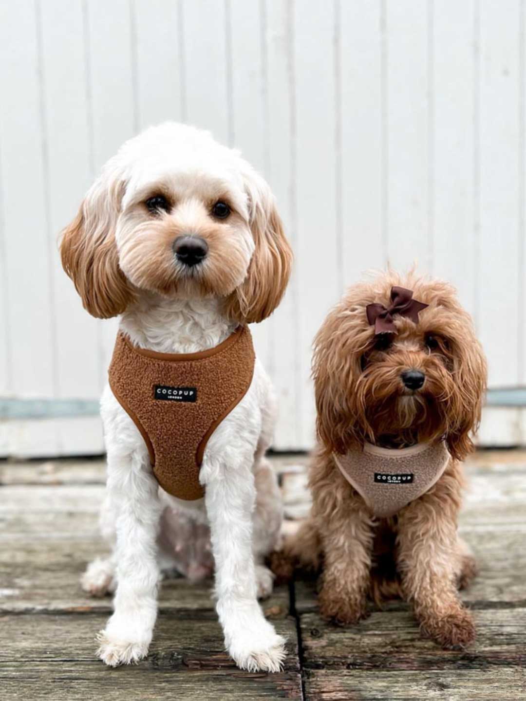 Teddy Brown Soft Harness / COCOPUP