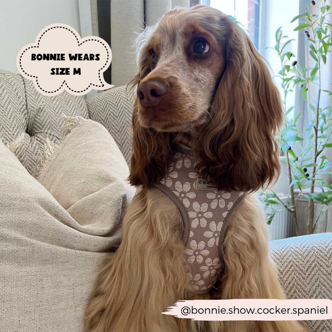 Mocha Flower Luxe Harness / COCOPUP