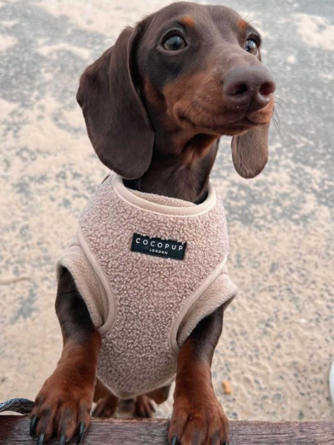 Teddy Beige Soft Harness / COCOPUP