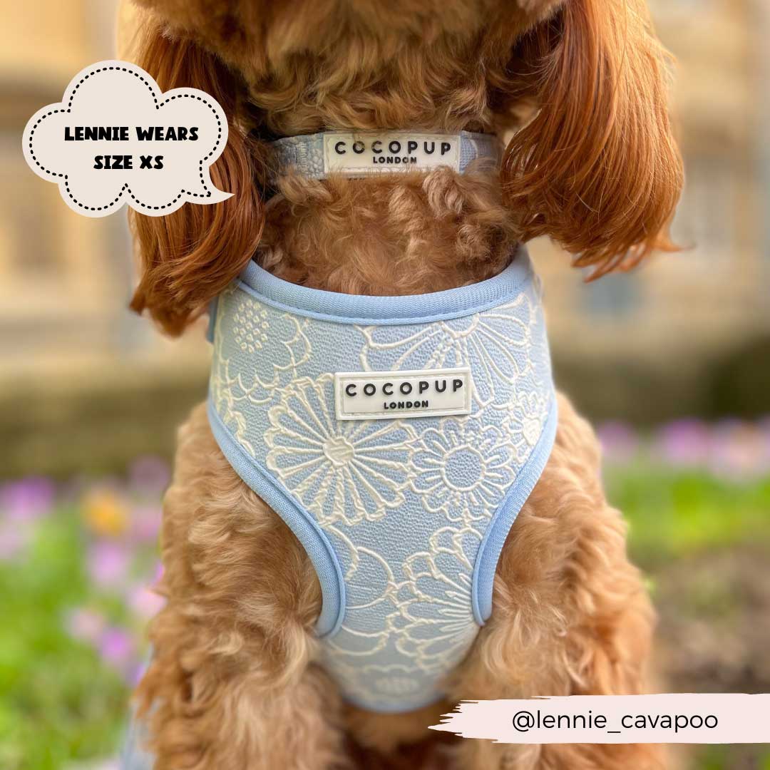 Baby Blue Flower Luxe Harness / COCOPUP