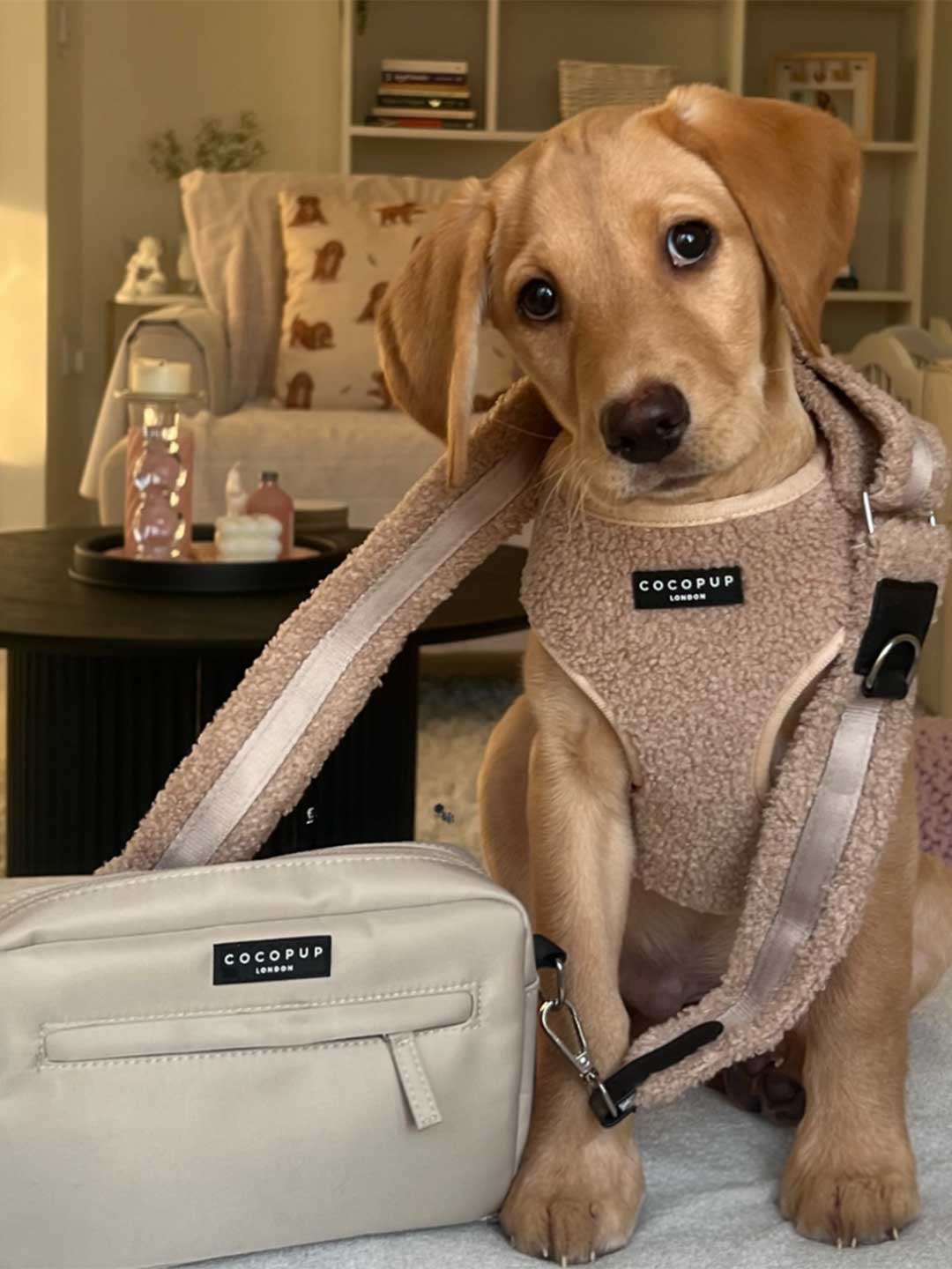 Teddy Beige Soft Harness / COCOPUP