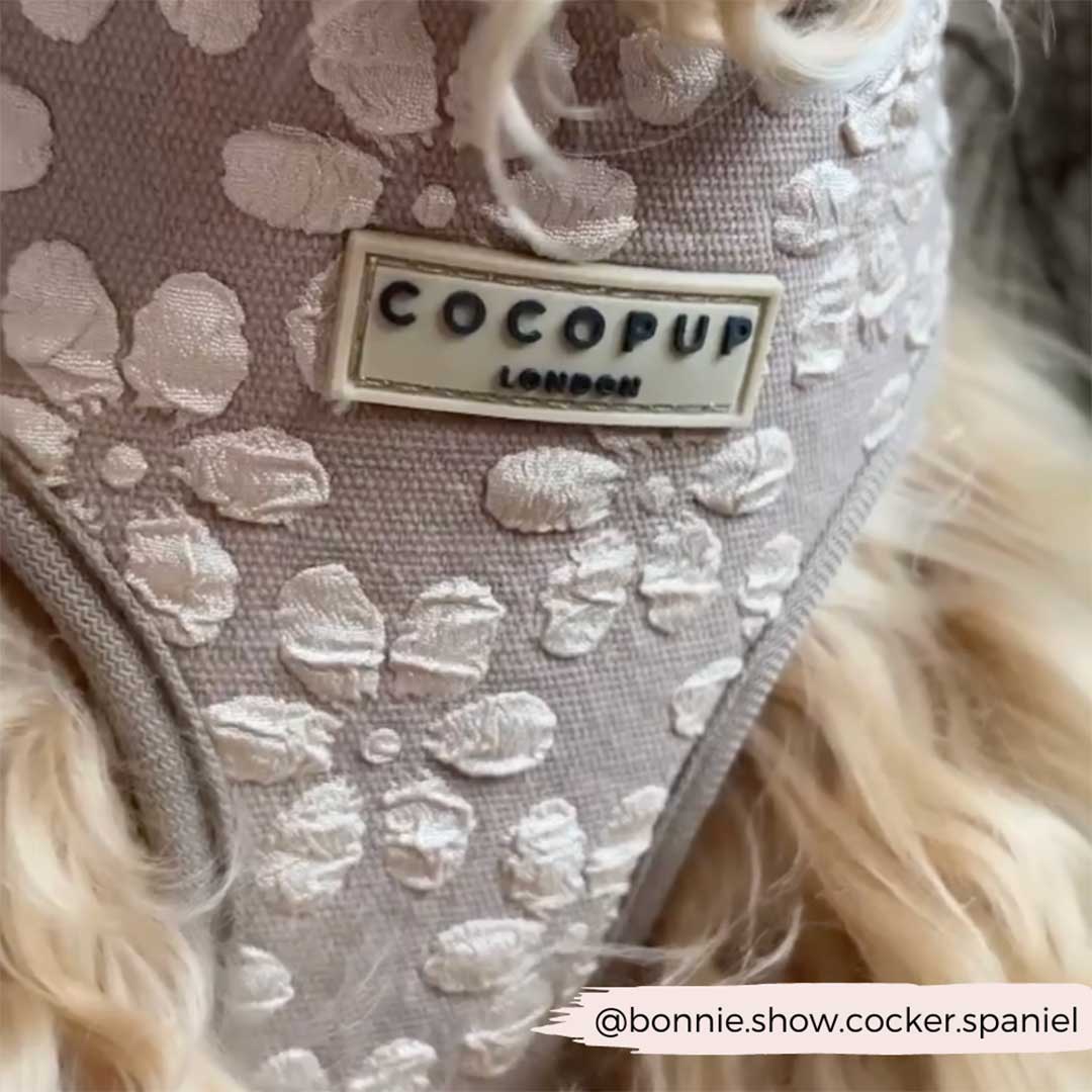 Mocha Flower Luxe Harness / COCOPUP