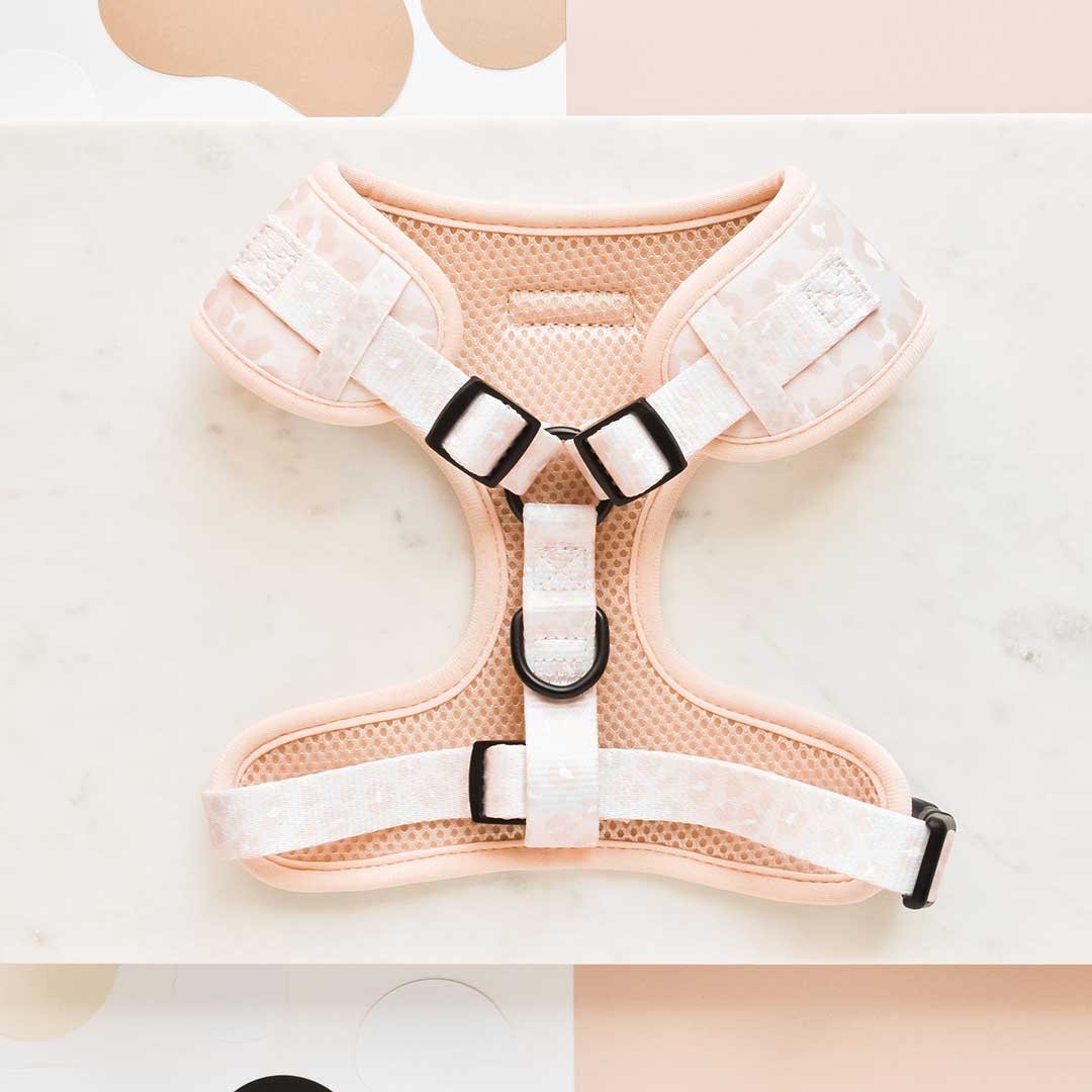Nude Chic Leopard Harness / COCOPUP