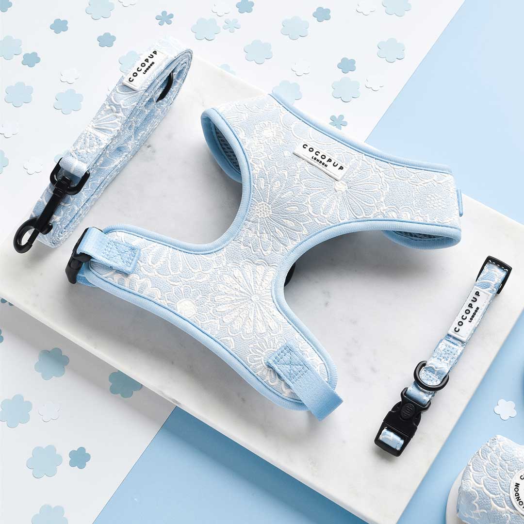 Baby Blue Flower Luxe Harness / COCOPUP