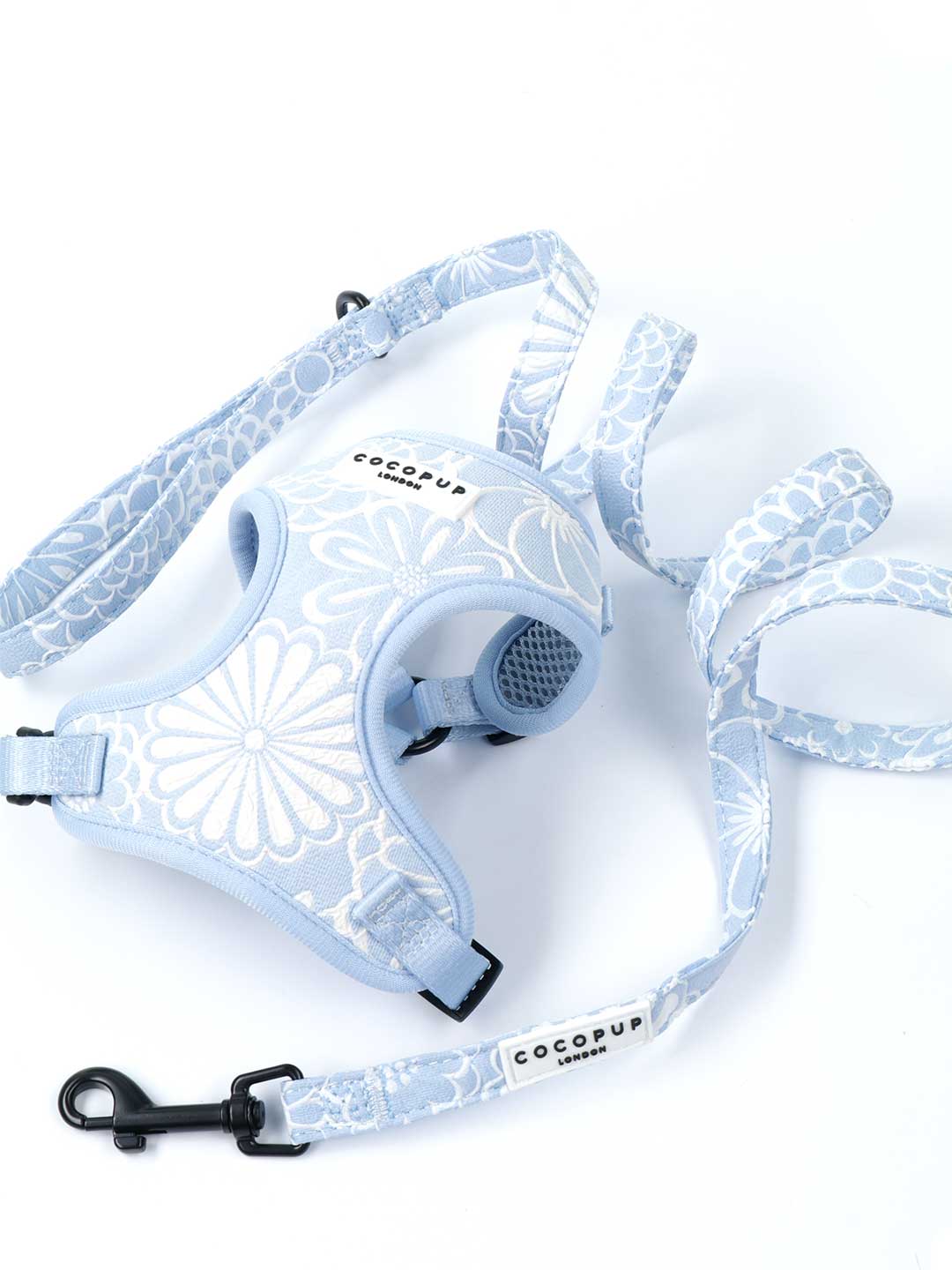 Baby Blue Flower Luxurious Design Lead / COCOPUP