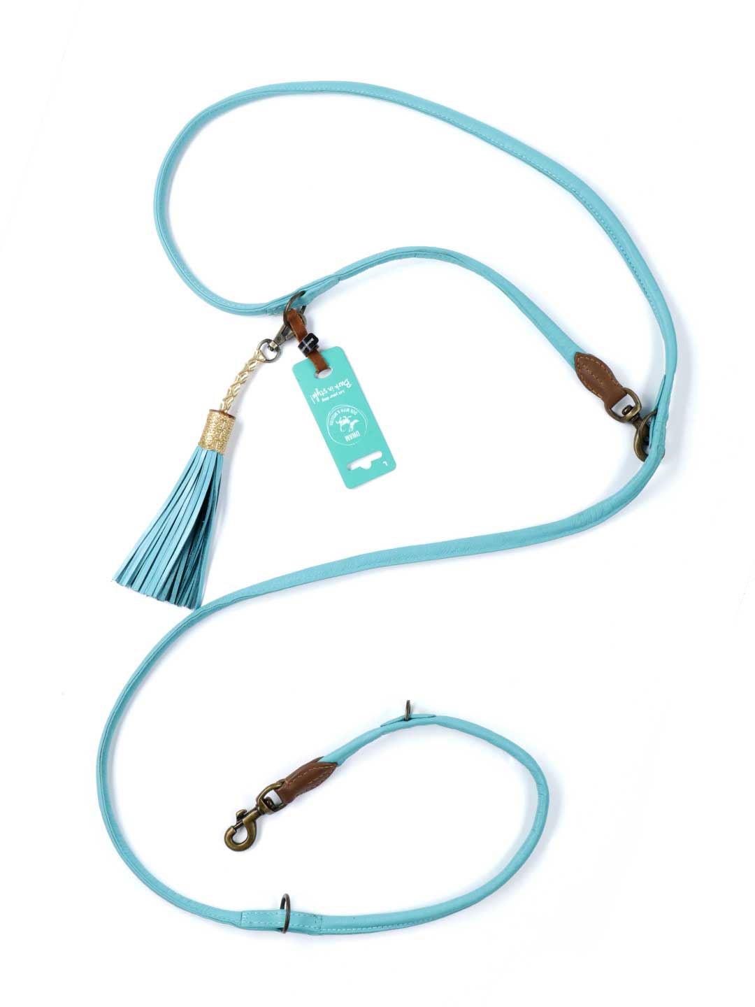 Extra Long Aqua Blue Dog Lead / DOG WITH A MISSION