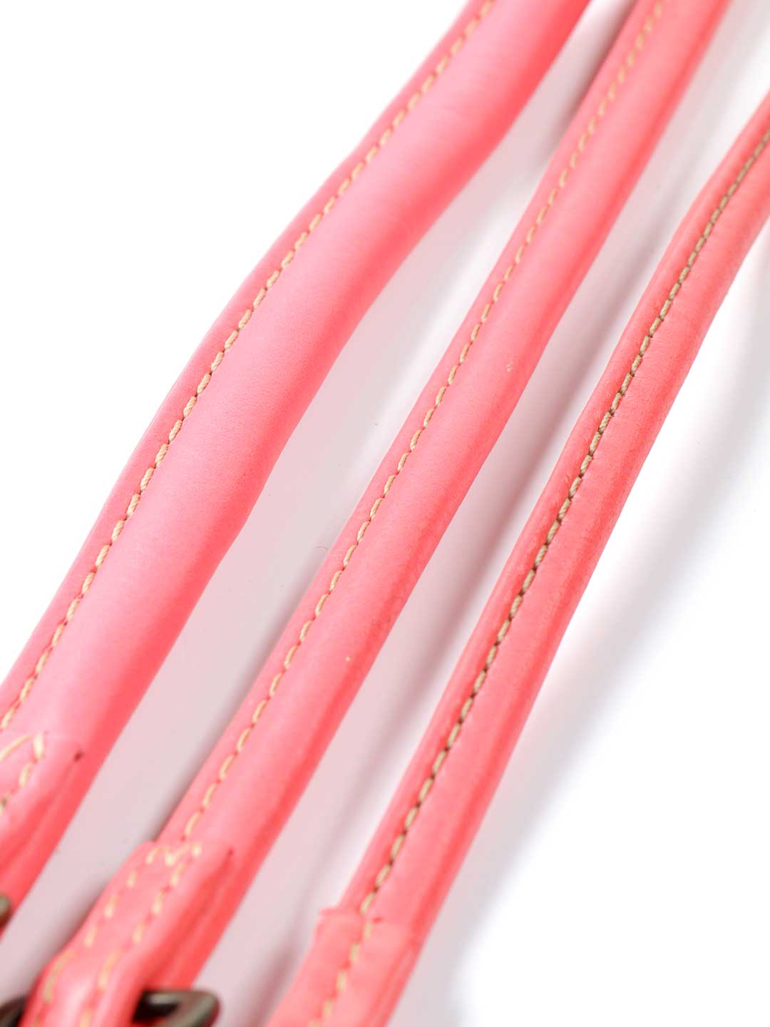 Extra Long Bobby Brown Dog Lead / DOG WITH A MISSION