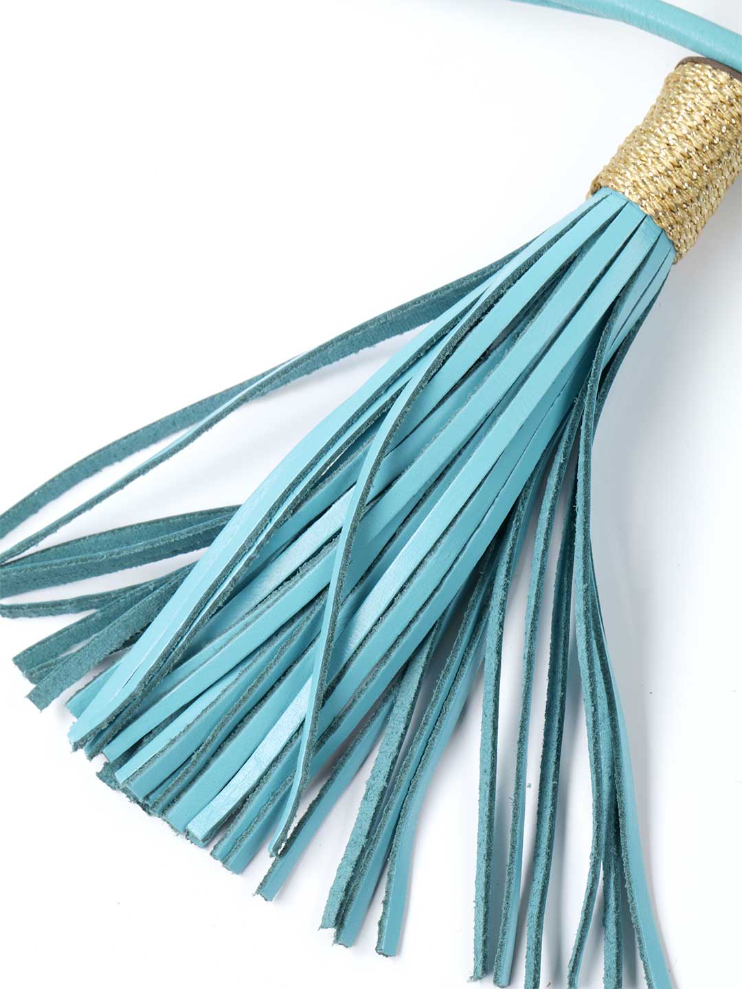 Extra Long Aqua Blue Dog Lead / DOG WITH A MISSION