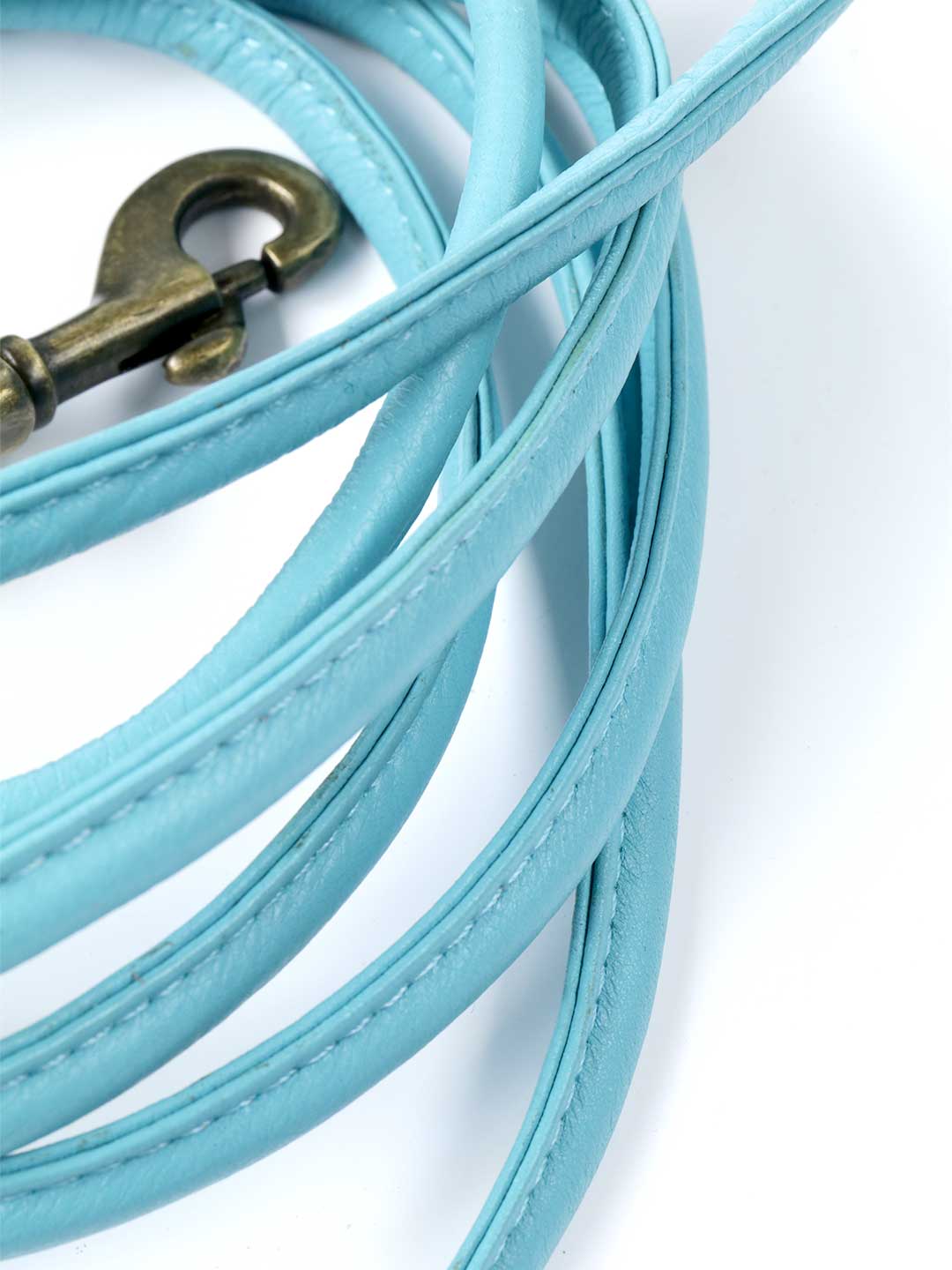 Extra Long Aqua Blue Dog Lead / DOG WITH A MISSION