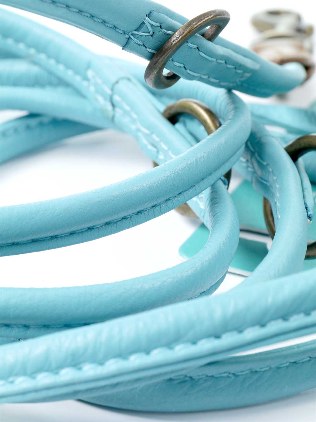 Extra Long Aqua Blue Dog Lead / DOG WITH A MISSION