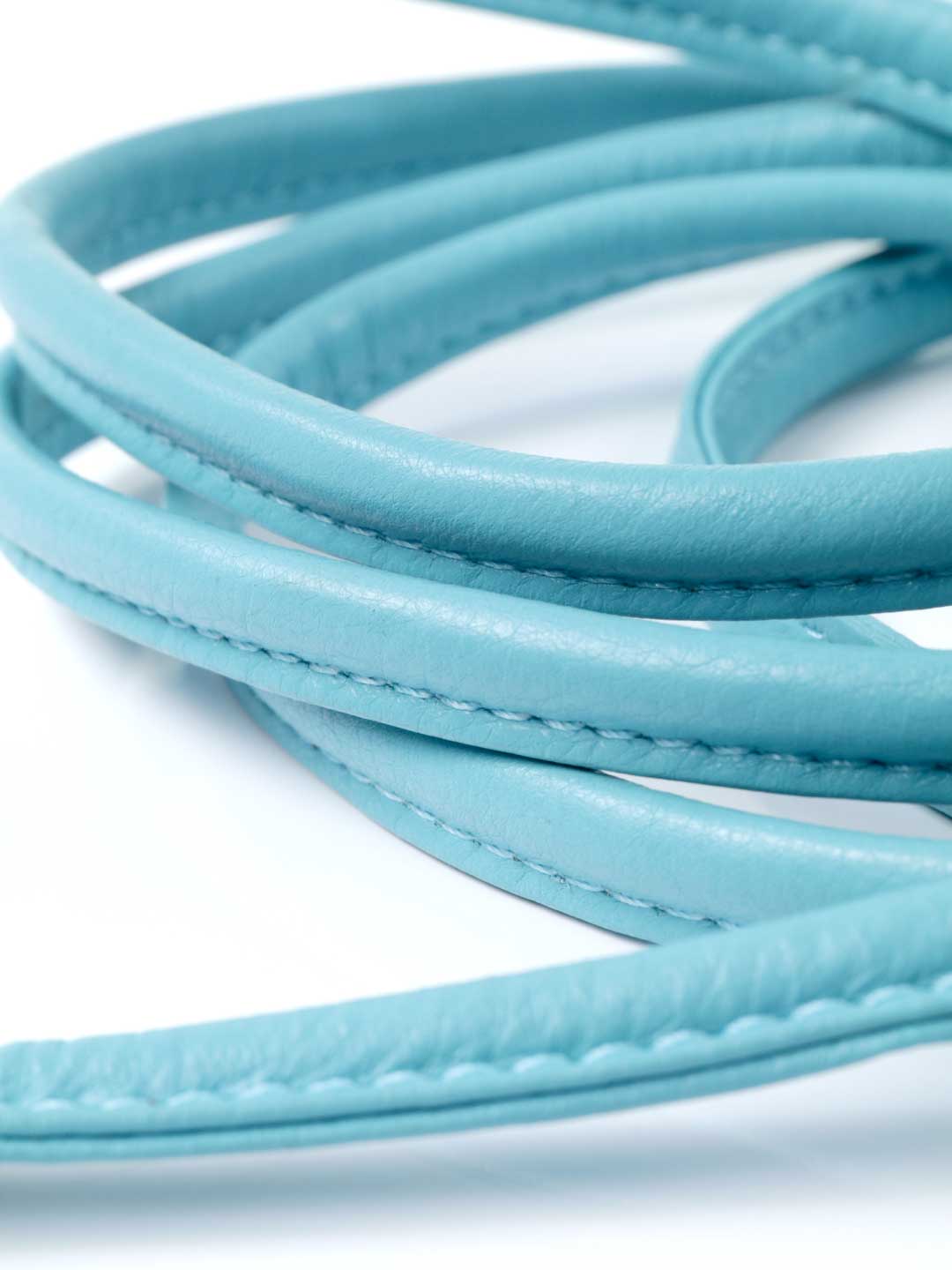 Extra Long Aqua Blue Dog Lead / DOG WITH A MISSION