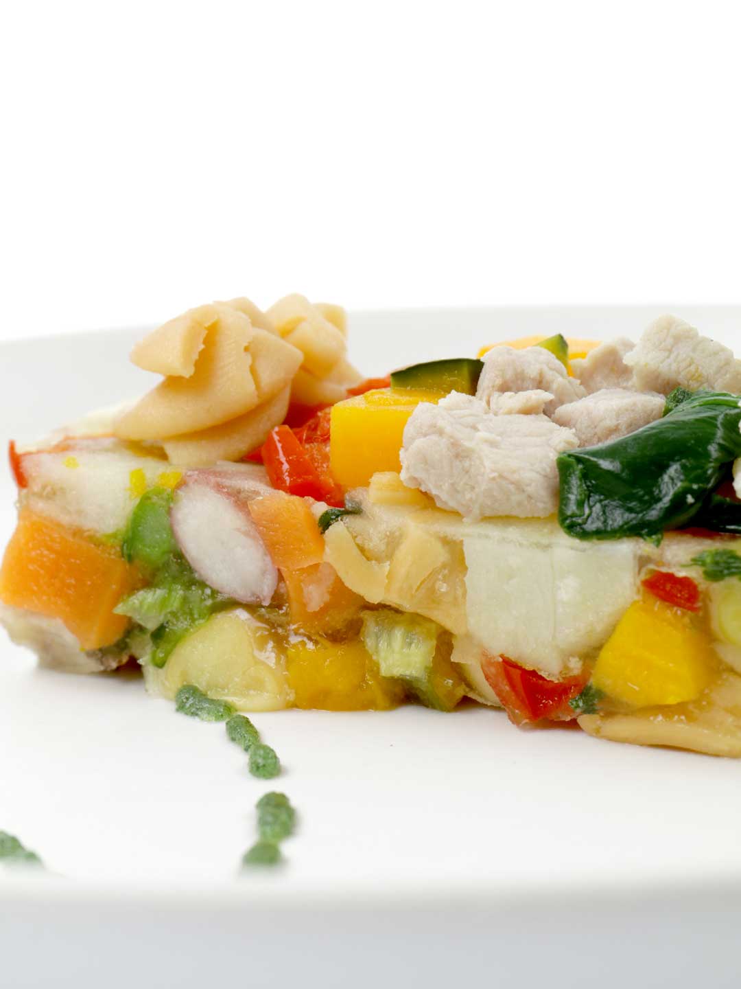#01 Hayama Highland Pork Cacciatore Style / Wagwag Meal