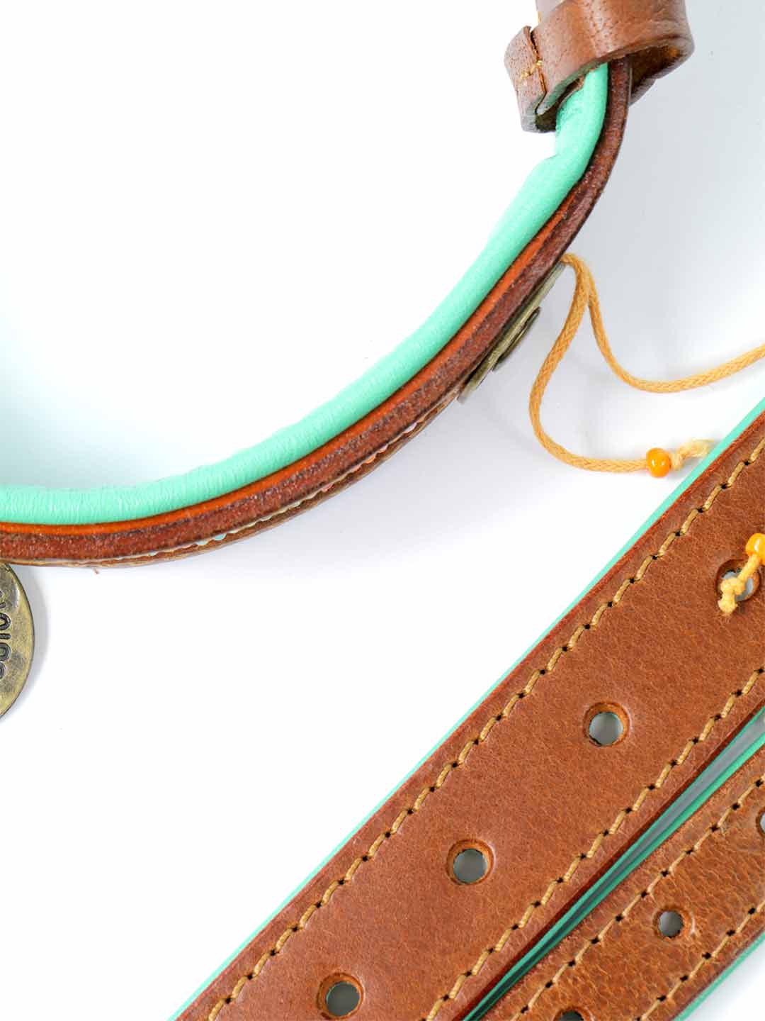 Tiger Lily Dog Collar / DOG WITH A MISSION