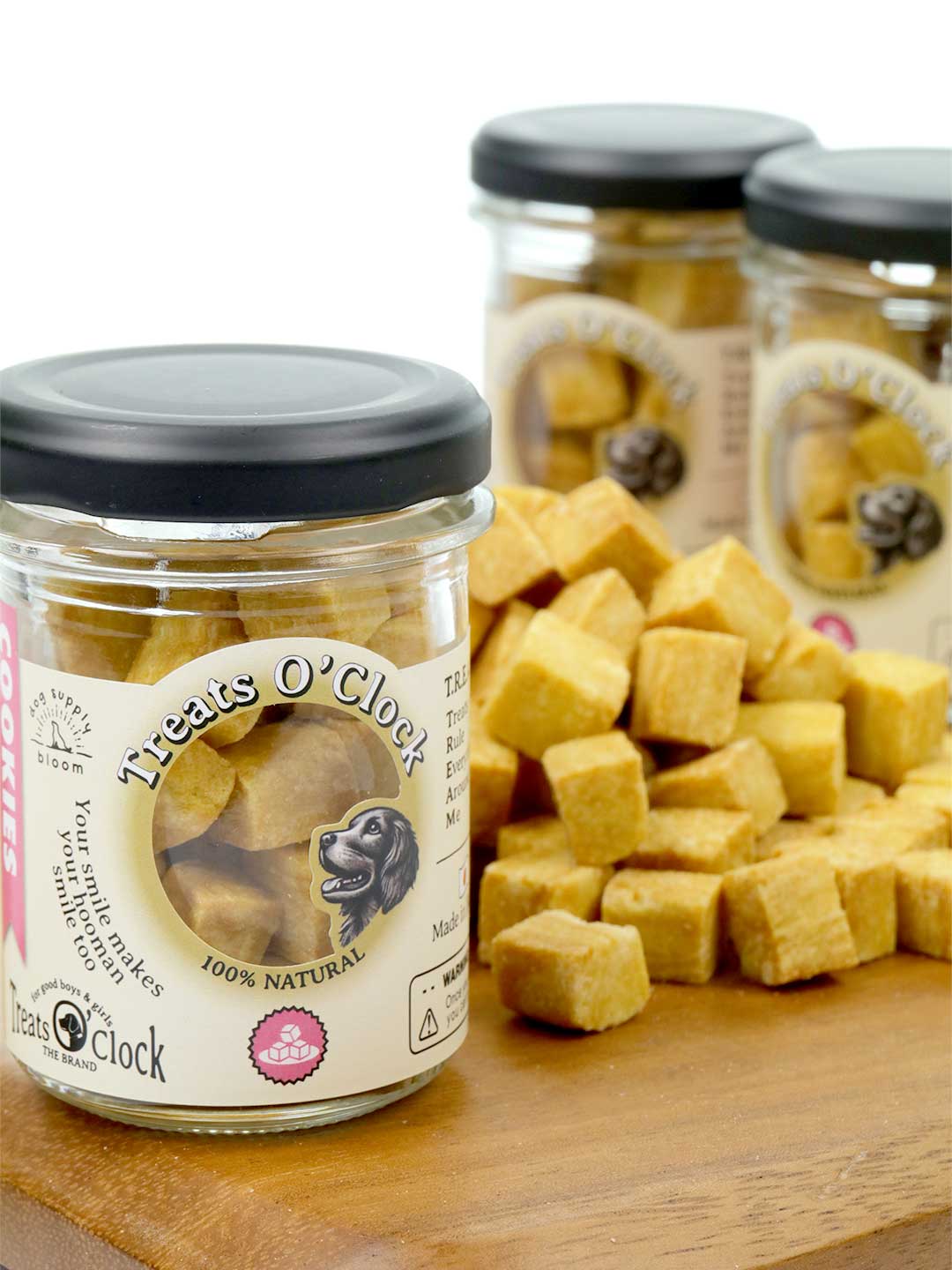 コロキューブ・パンプキン・ミニボトル / Treats O'Clock