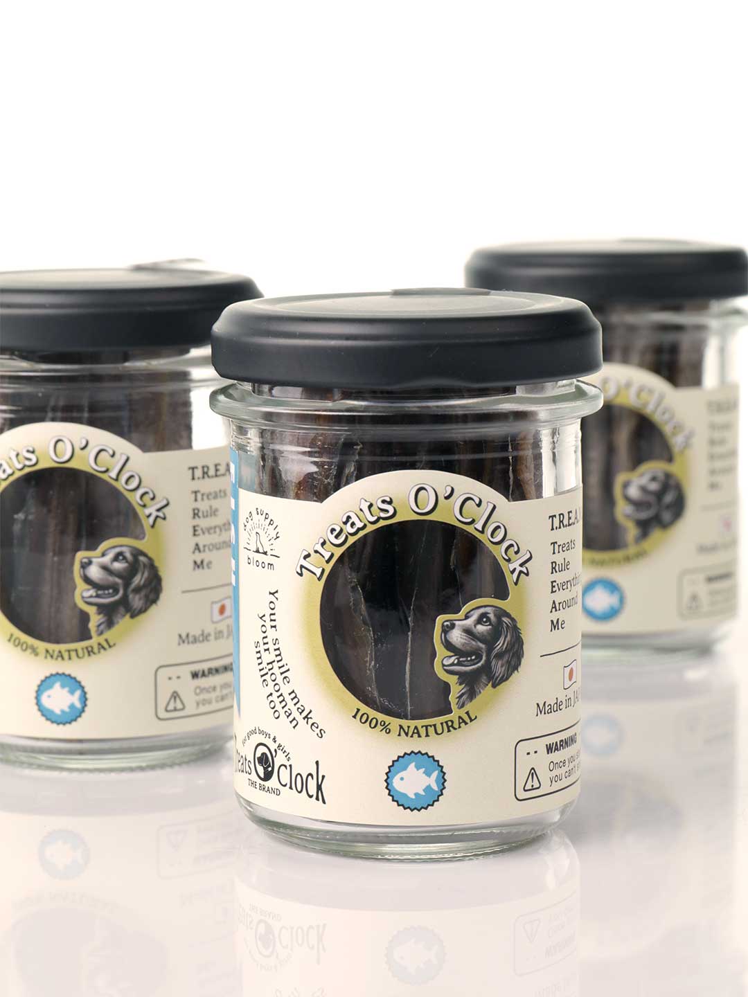 Salmon Cube Mini Bottle / Treats O'Clock