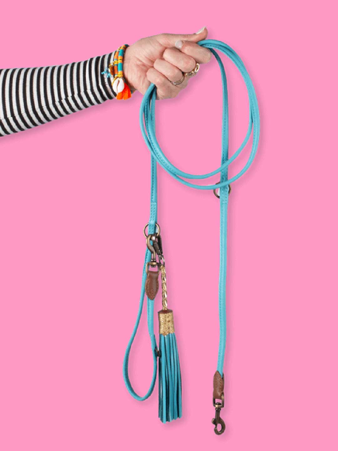 Extra Long Aqua Blue Dog Lead / DOG WITH A MISSION