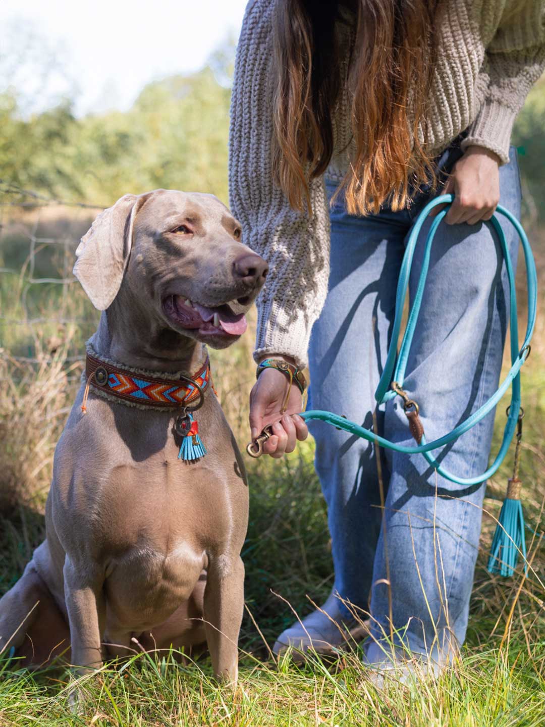 Extra Long Aqua Blue Dog Lead / DOG WITH A MISSION