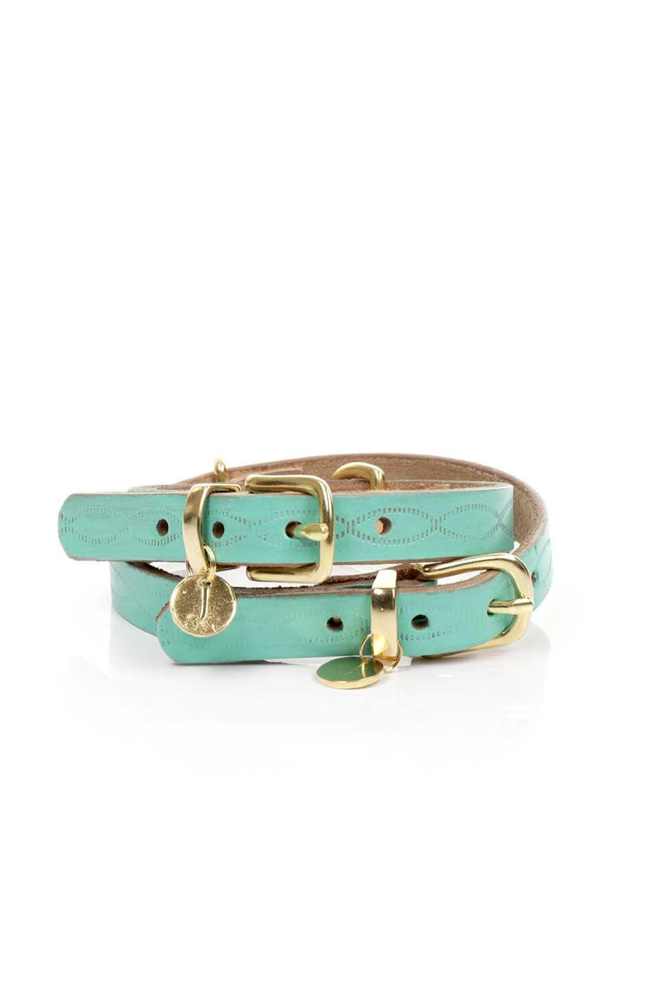 Aqua Green アクアグリーン・ドッグカラー / by Lowlands COUTURE