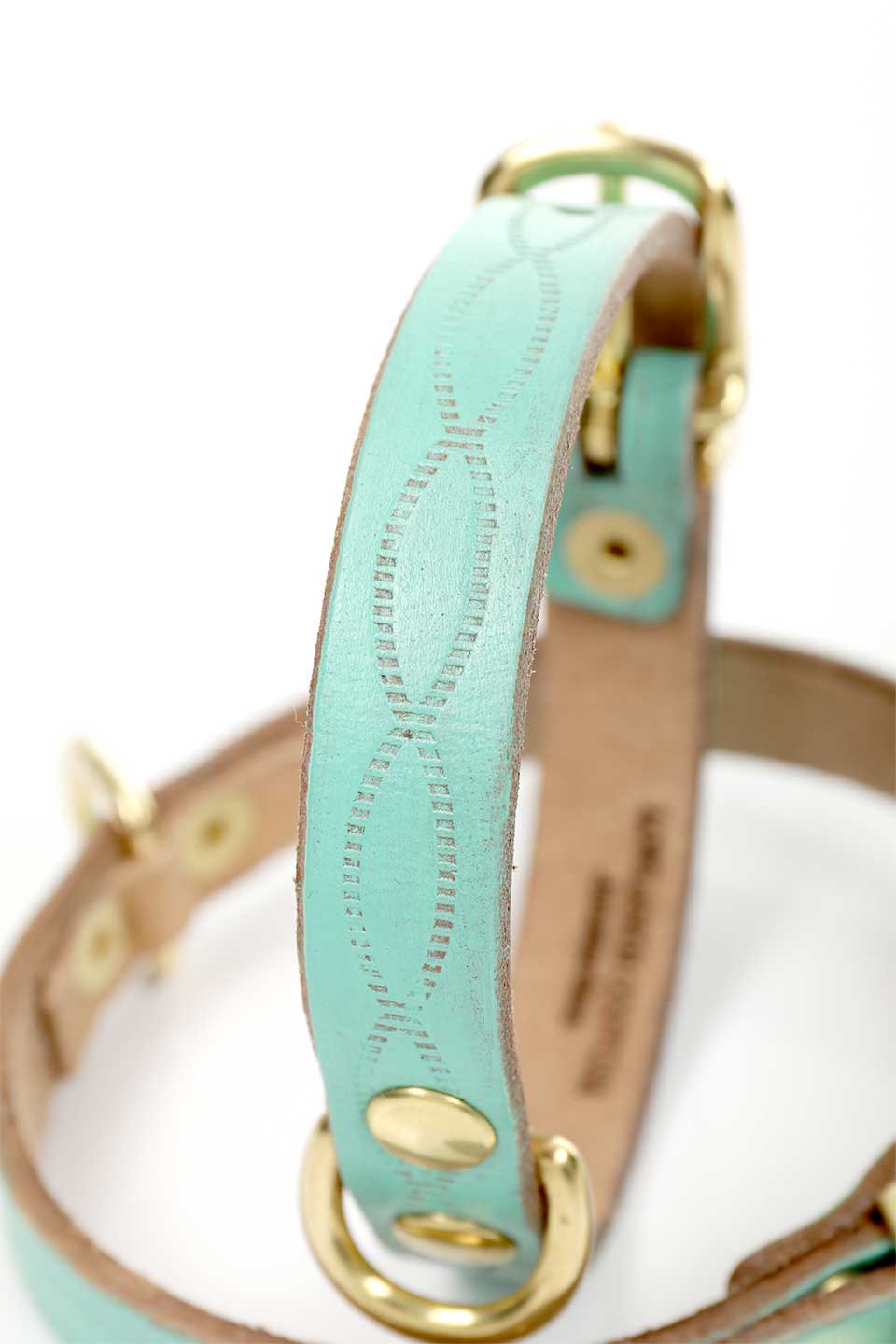Aqua Green アクアグリーン・ドッグカラー / by Lowlands COUTURE