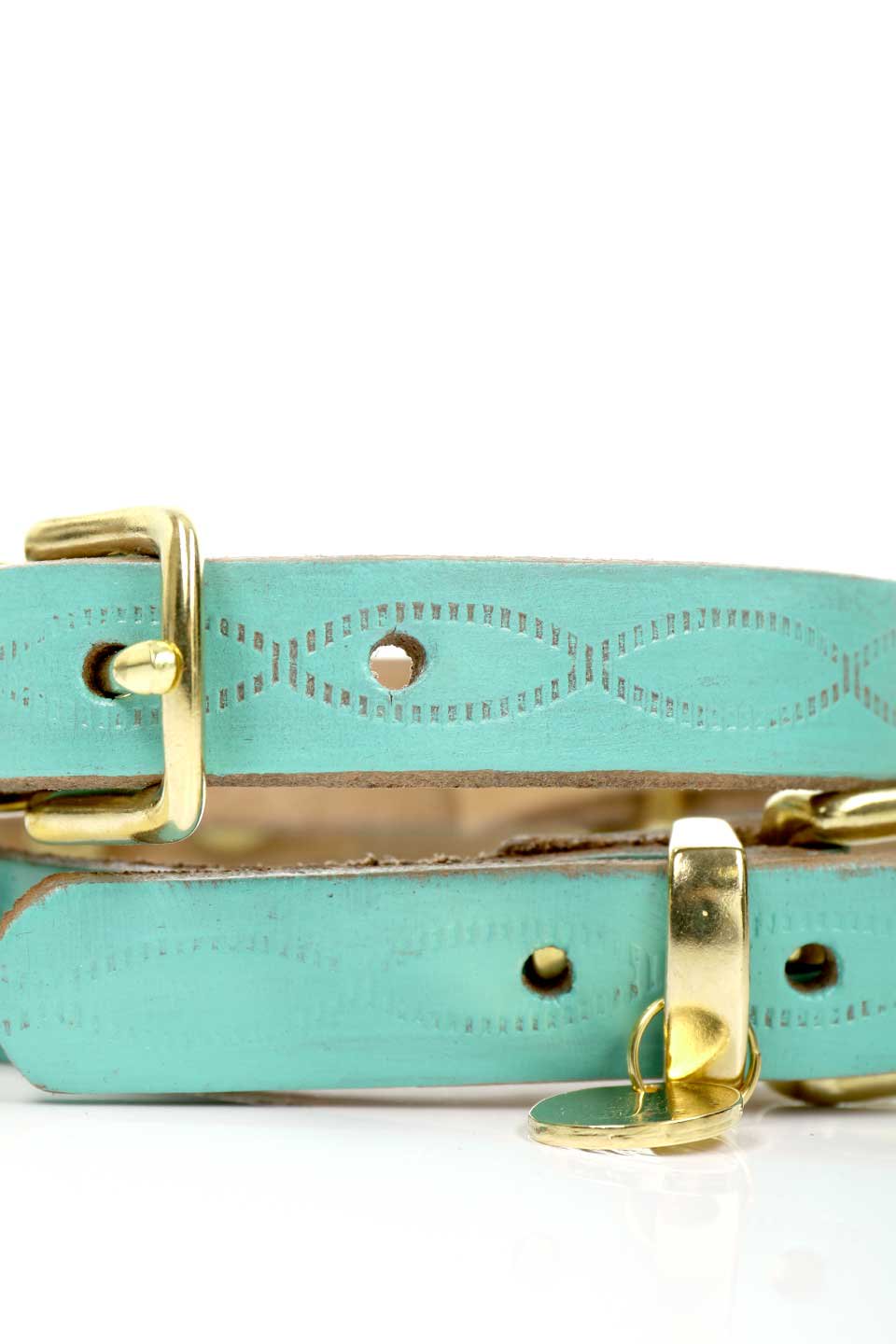 Aqua Green アクアグリーン・ドッグカラー / by Lowlands COUTURE