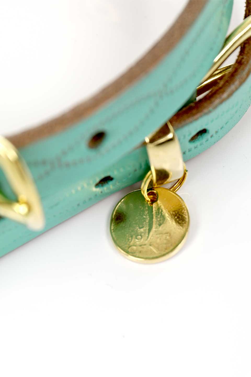 Aqua Green アクアグリーン・ドッグカラー / by Lowlands COUTURE