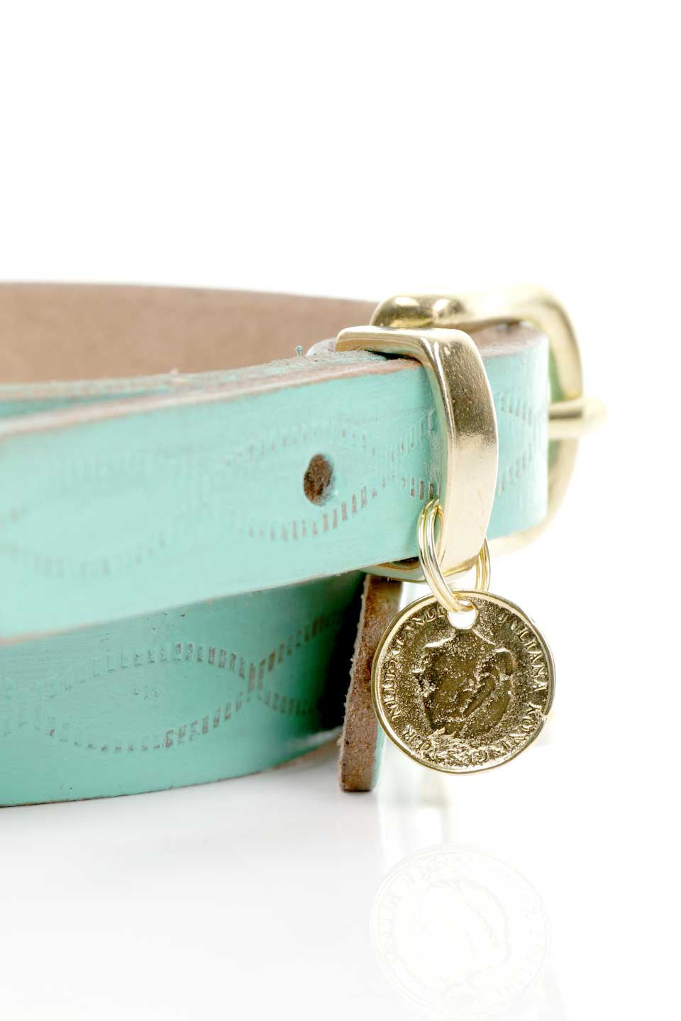 Aqua Green アクアグリーン・ドッグカラー / by Lowlands COUTURE