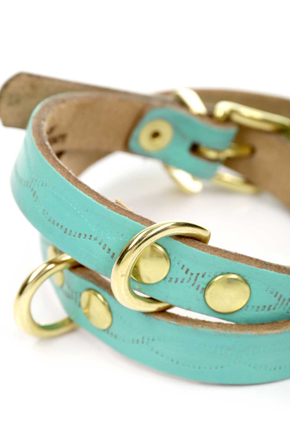 Aqua Green アクアグリーン・ドッグカラー / by Lowlands COUTURE