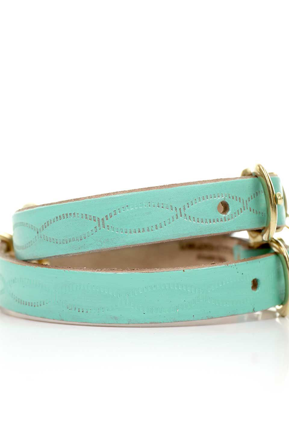 Aqua Green アクアグリーン・ドッグカラー / by Lowlands COUTURE