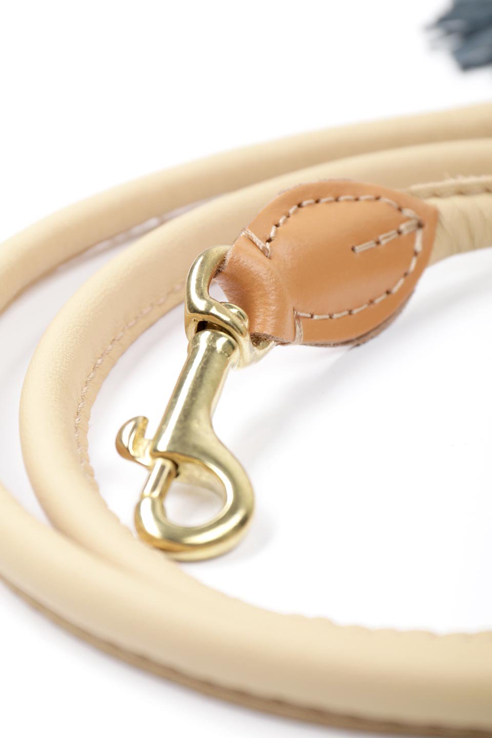 Amsterdam City Dog Lead (8mm) / Lowlands Couture