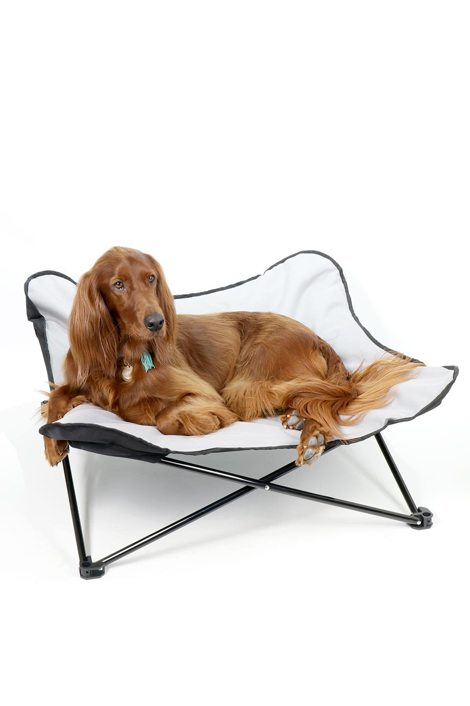 Folding Outdoor Dog Cot 折りたたみ・アウトドアドッグコット