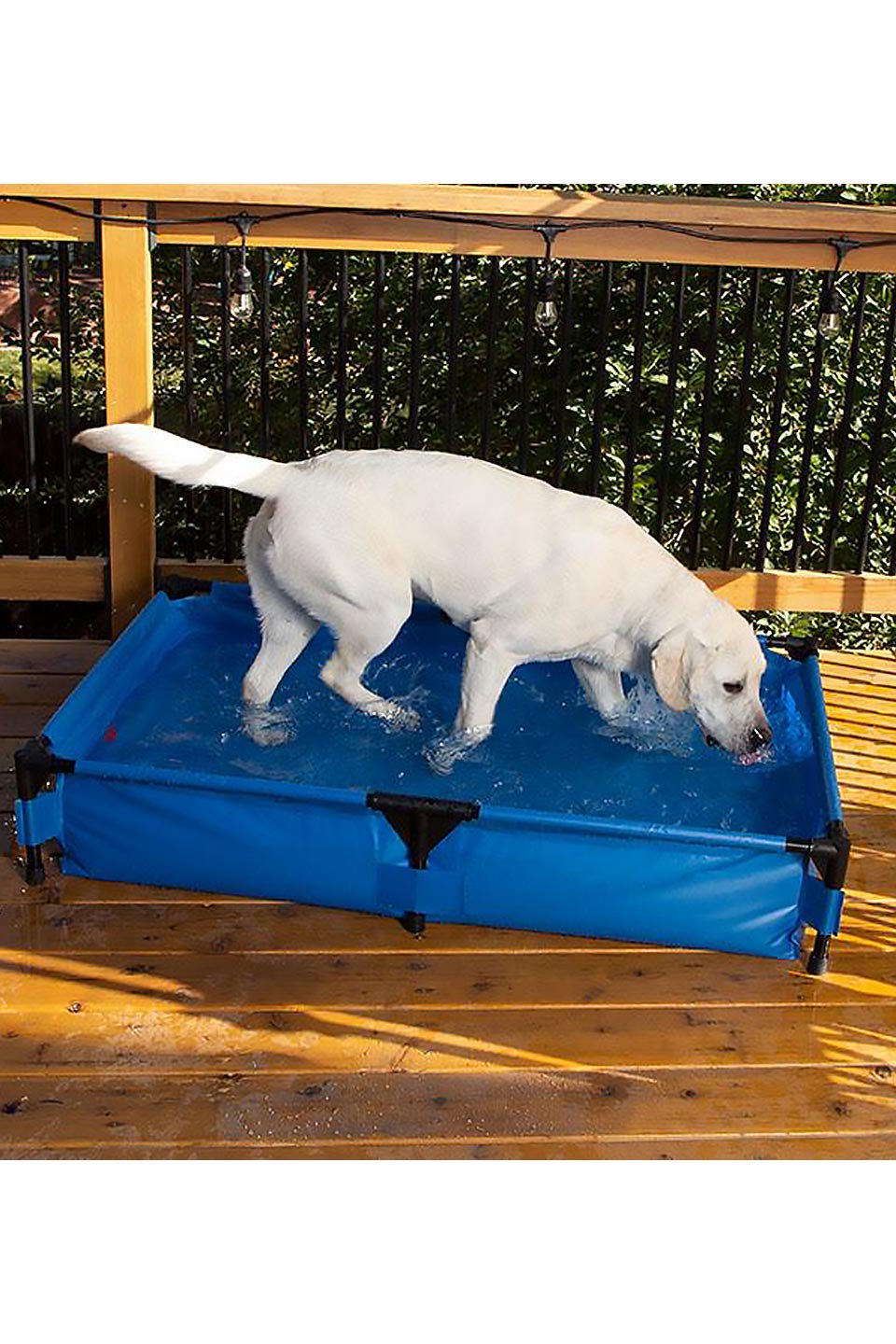 Pet Pool K&H・ペットプール by K&H Pet Products