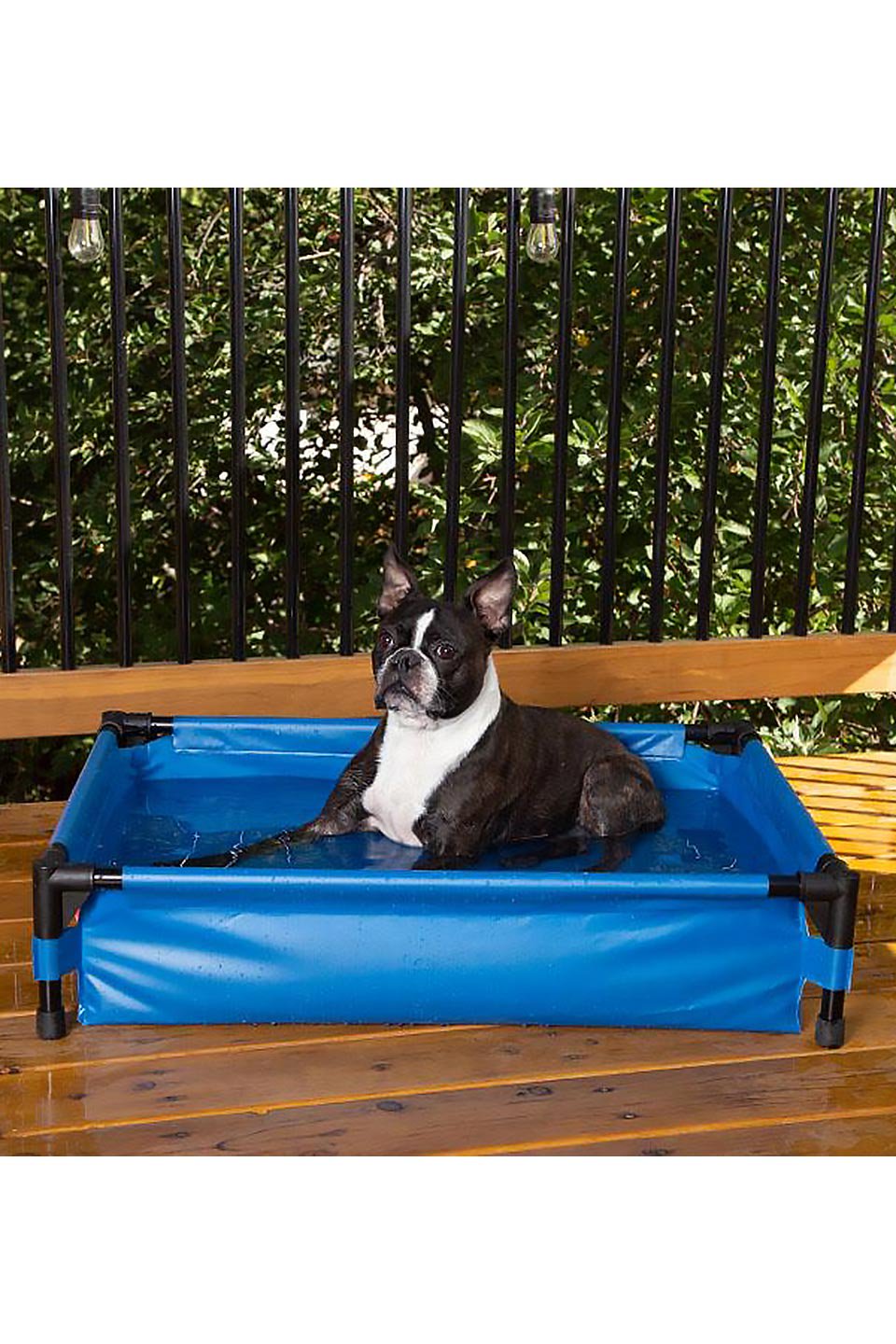 Pet Pool K&H・ペットプール by K&H Pet Products