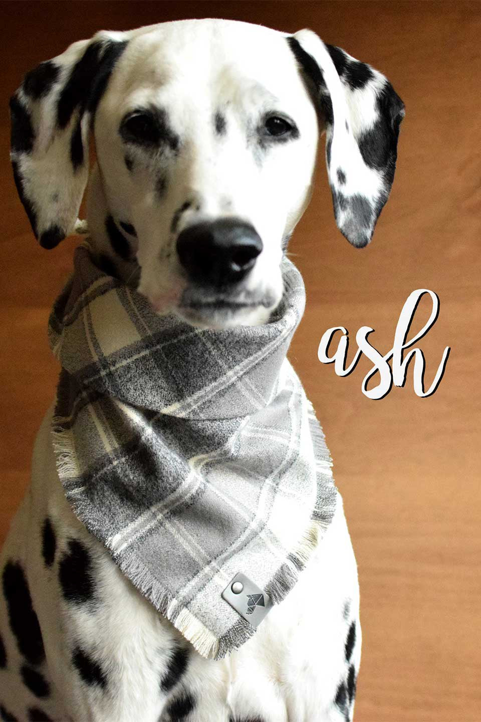 Ash Fringed Flannel Dog Bandana アッシュ・フリンジドッグバンダナ / DOGDOG GOOSE