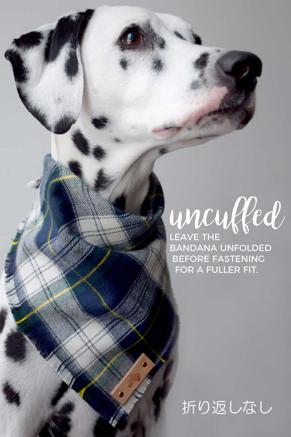Shale Luxe Fringed Flannel Dog Bandana シェール・フリンジドッグバンダナ / DOGDOG GOOSE
