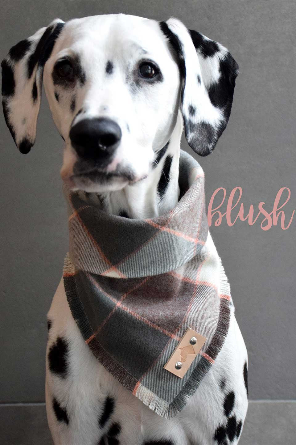 Blush Fringed Flannel Dog Bandana ブラッシュ・フリンジドッグバンダナ / DOGDOG GOOSE