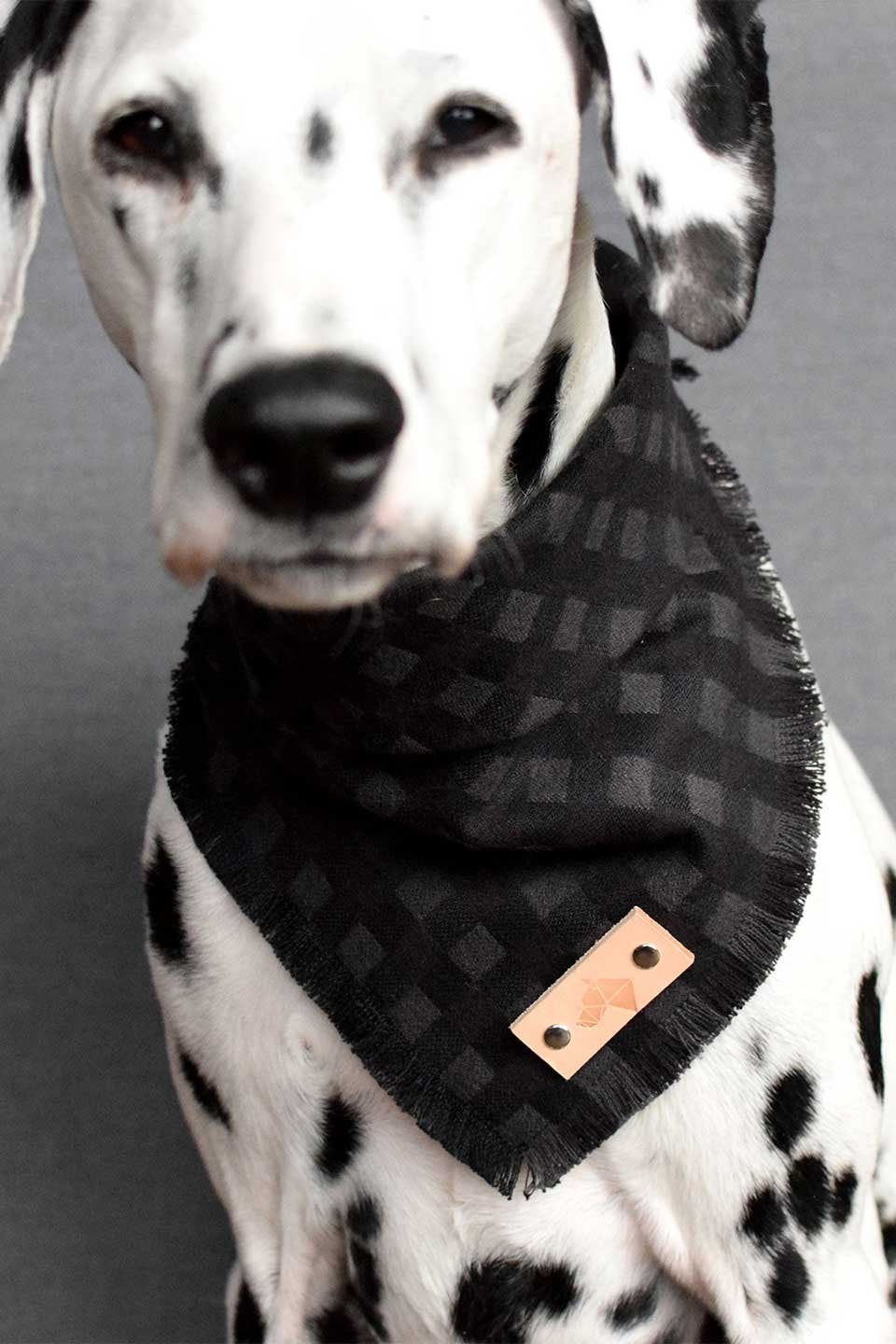 Sepia Fringed Flannel Dog Bandana セピア・フリンジドッグバンダナ / DOGDOG GOOSE
