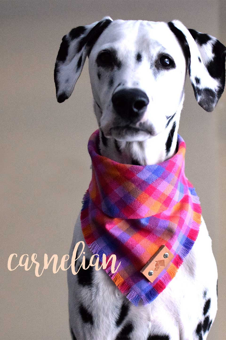 Carnelian Fringed Flannel Dog Bandana カーネリアン・フリンジドッグバンダナ / DOGDOG GOOSE