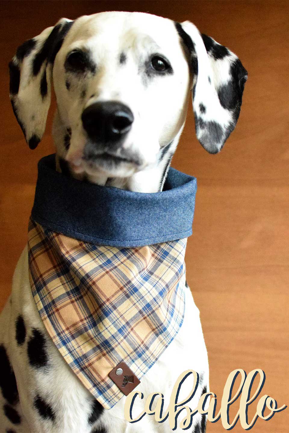 Caballo Fringed Flannel Dog Bandana カバージョ・フリンジドッグバンダナ / DOGDOG GOOSE