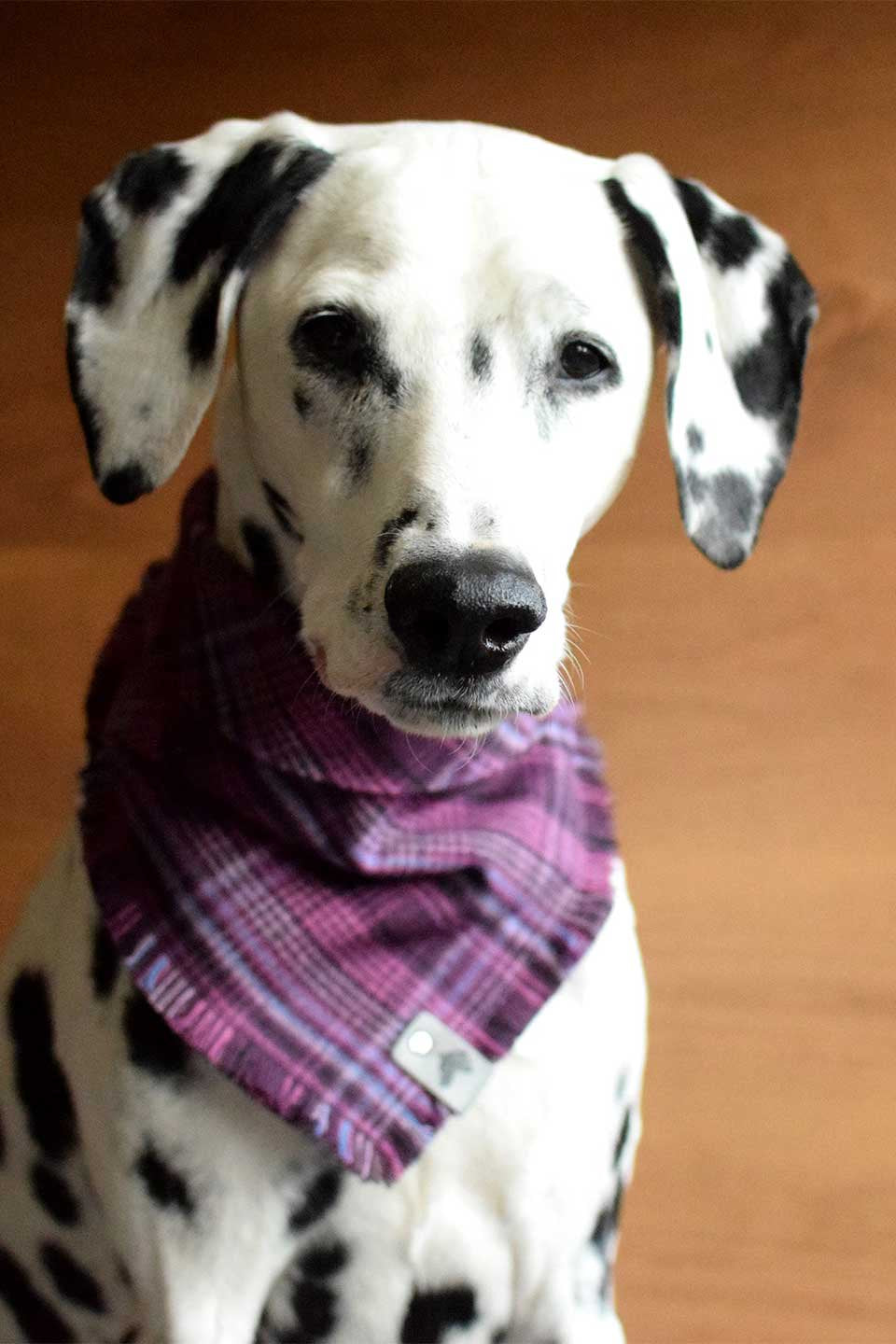 Lupine Fringed Flannel Dog Bandana ルパイン・フリンジドッグバンダナ / DOGDOG GOOSE